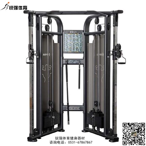 大飛鳥(niǎo)綜合訓(xùn)練器