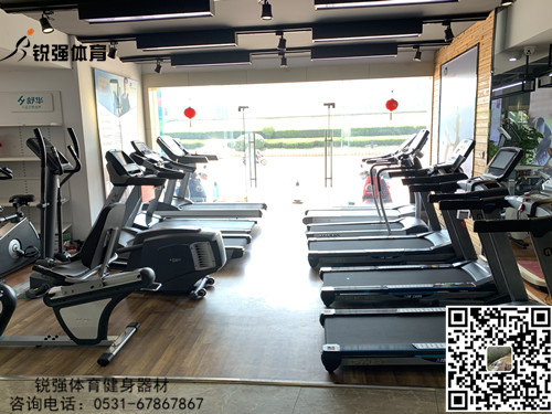 leyu.樂魚體育旗艦店的跑步機和橢圓機