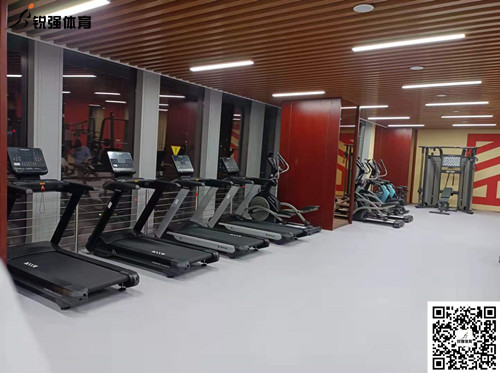 leyu.樂(lè)魚(yú)體育完成的濟(jì)南某部門(mén)單位健身房