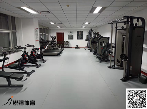 濟(jì)南某集團(tuán)采購(gòu)的leyu.樂(lè)魚(yú)體育提供的健身器材